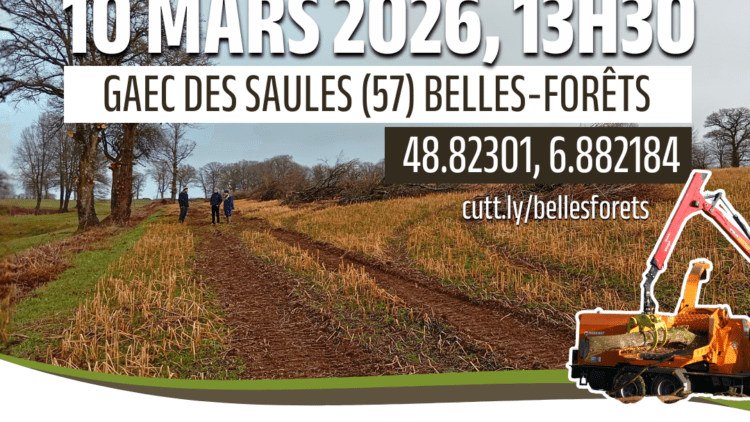 Vers une gestion durable du bois agricole, chantier de récolte et valorisation