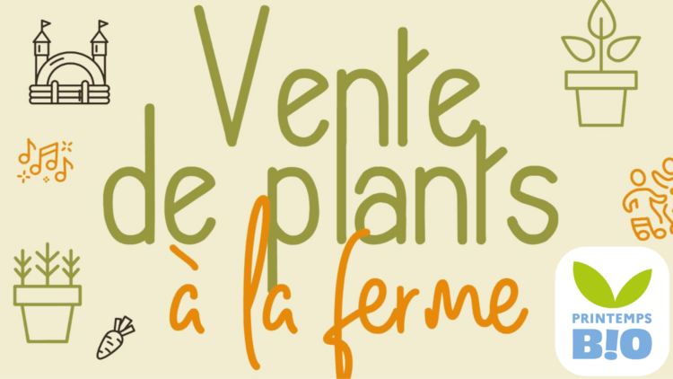 Vente de plants bio à la ferme