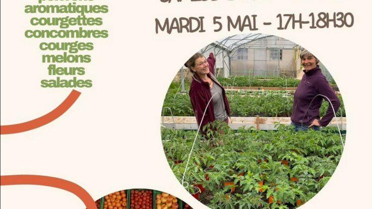 Vente de plants sur une ferme maraichère bio
