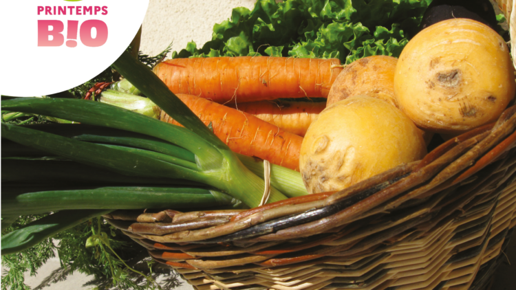 Marché de producteurs bio et locaux