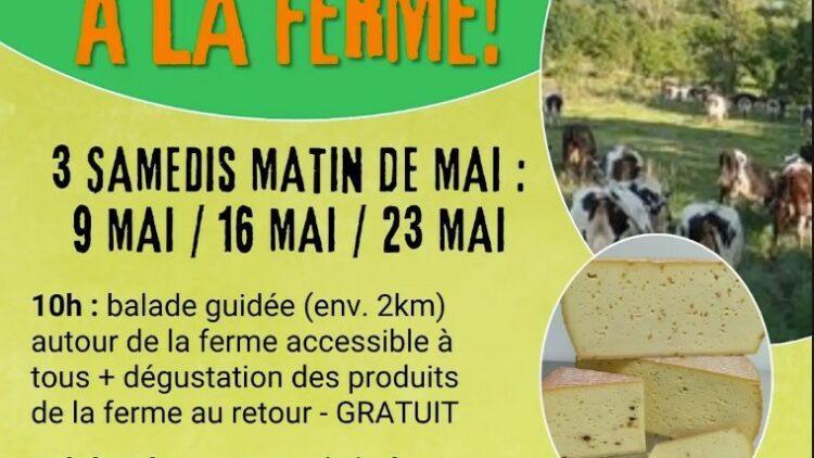 Printemps Bio à la ferme des Terres Froides