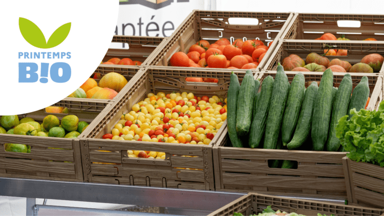 Le marché Bi&rsquo;O