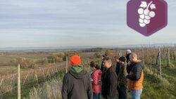 GIEE vitiforesterie à Dambach-la-ville