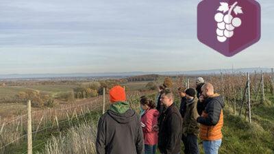 GIEE vitiforesterie à Dambach-la-ville