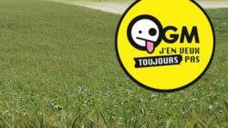 Dernière chance pour stopper les nouveaux OGM en bio