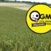 Dernière chance pour stopper les nouveaux OGM en bio