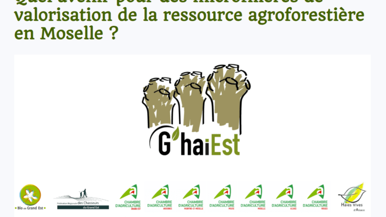 Quelles bases pour la valorisation agroforestière en Moselle ?