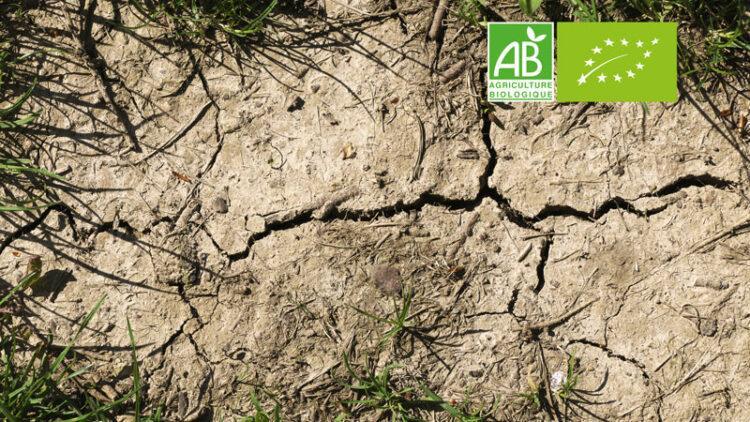 CP FNAB : Plan CASI, une opportunité pour amorcer la transition agricole ?